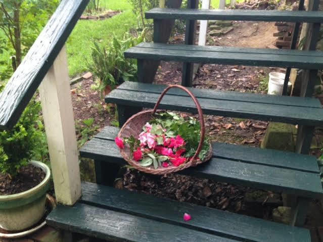 Magnolia Cottage Bed And Breakfast Натчез Экстерьер фото